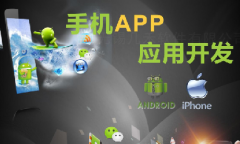 手機app開發(fā)11大步驟、技術(shù)人員、常用接口