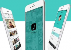 北京手機(jī)APP開(kāi)發(fā)公司