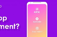 為什么要定制APP開發(fā)，APP開發(fā)定制的好處？