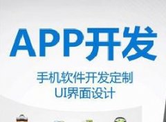 APP開發(fā)功能文檔模板